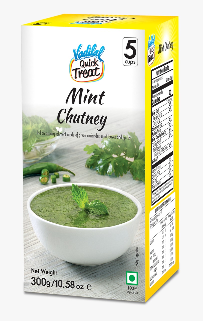 Buy Online Vadilal Mint Chutney 10.58 OZ 300 GM NY USA